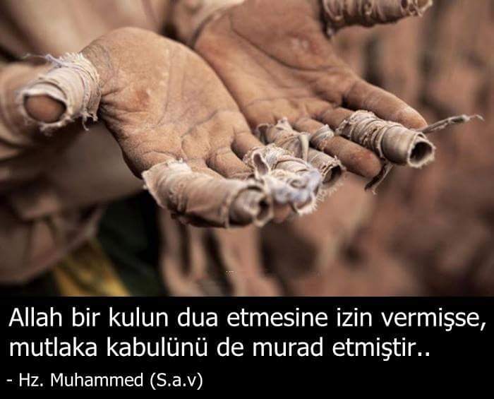 aydinhalici's tweet photo. https://t.co/fLtqxY019G