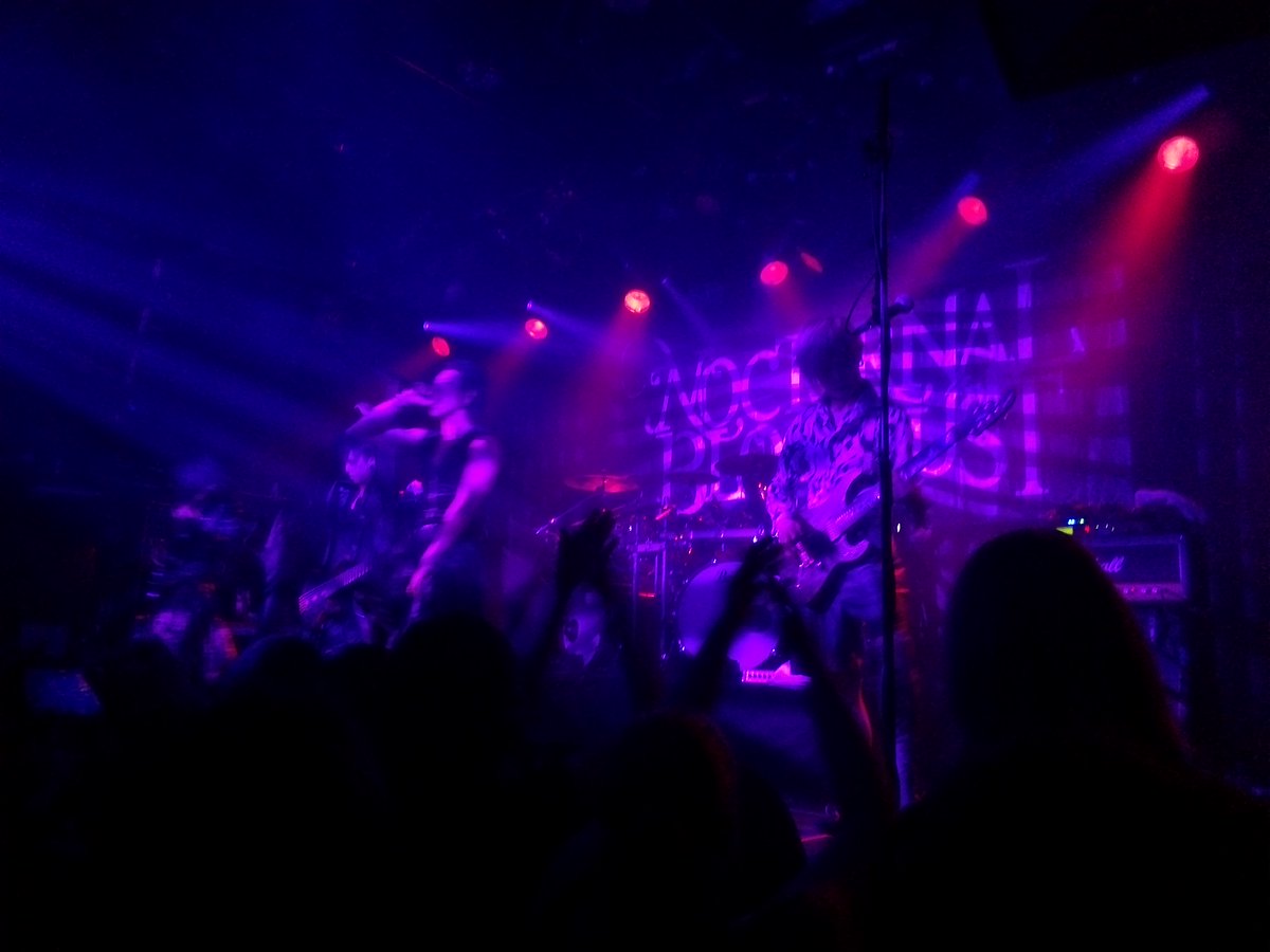 cvofpy's tweet photo. #nocturnalbloodlust @ #Amsterdam https://t.co/NxfWYDPeLb