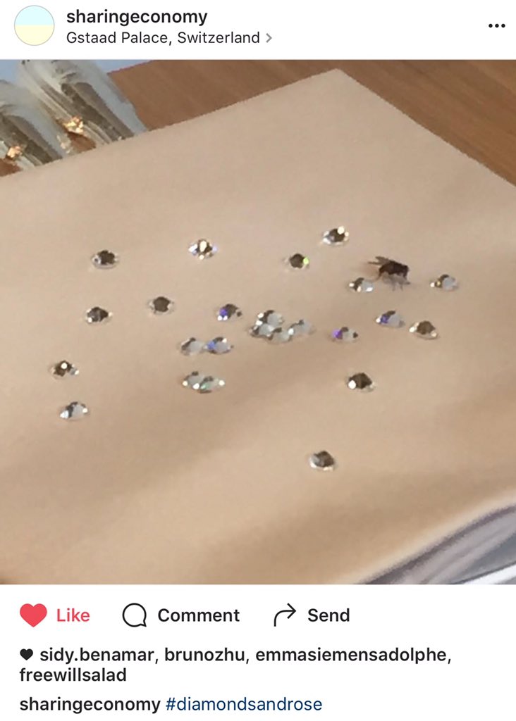 project1049's tweet photo. @swarovski @GstaadPalace @sharingisscary #project1049 https://t.co/hnEpmiDoSD