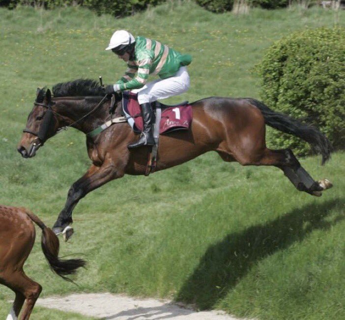 BarryJGeraghty's tweet photo. One of the saddest days in our sport to loose JT McNamara a great friend to us all and a brilliant horseman RIP https://t.co/GRDPzSSr8F