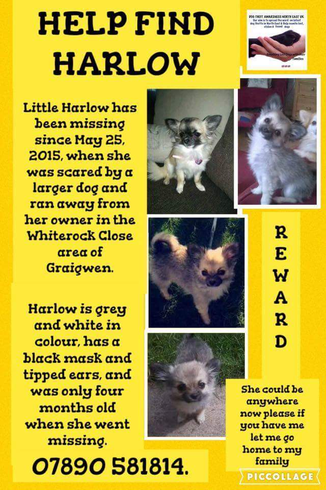 Mu Robinson tweet media