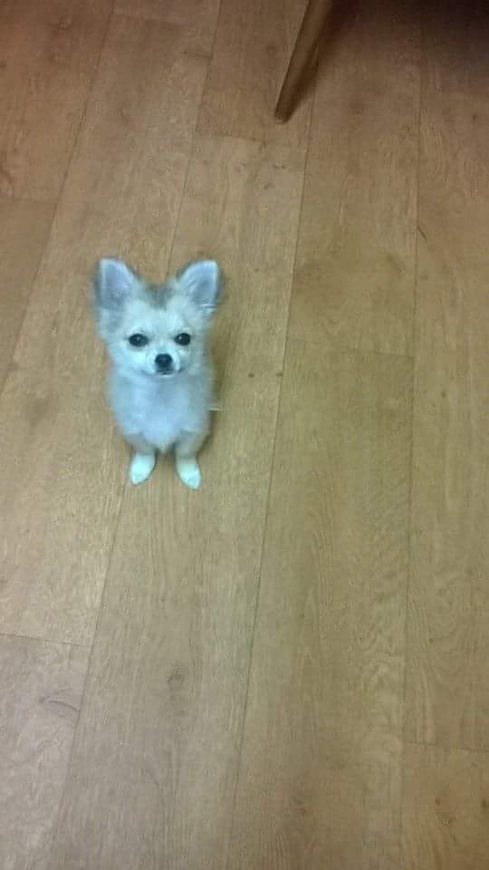 Mu Robinson tweet media