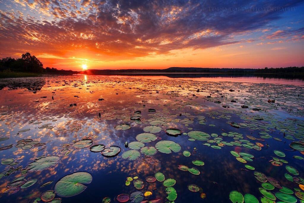 AwesomeEarthPix's tweet photo. Sunset at Talawanda Lakes, Oklahoma, USA | Photography by ©Todd Tobey https://t.co/DPZb9Iy71y