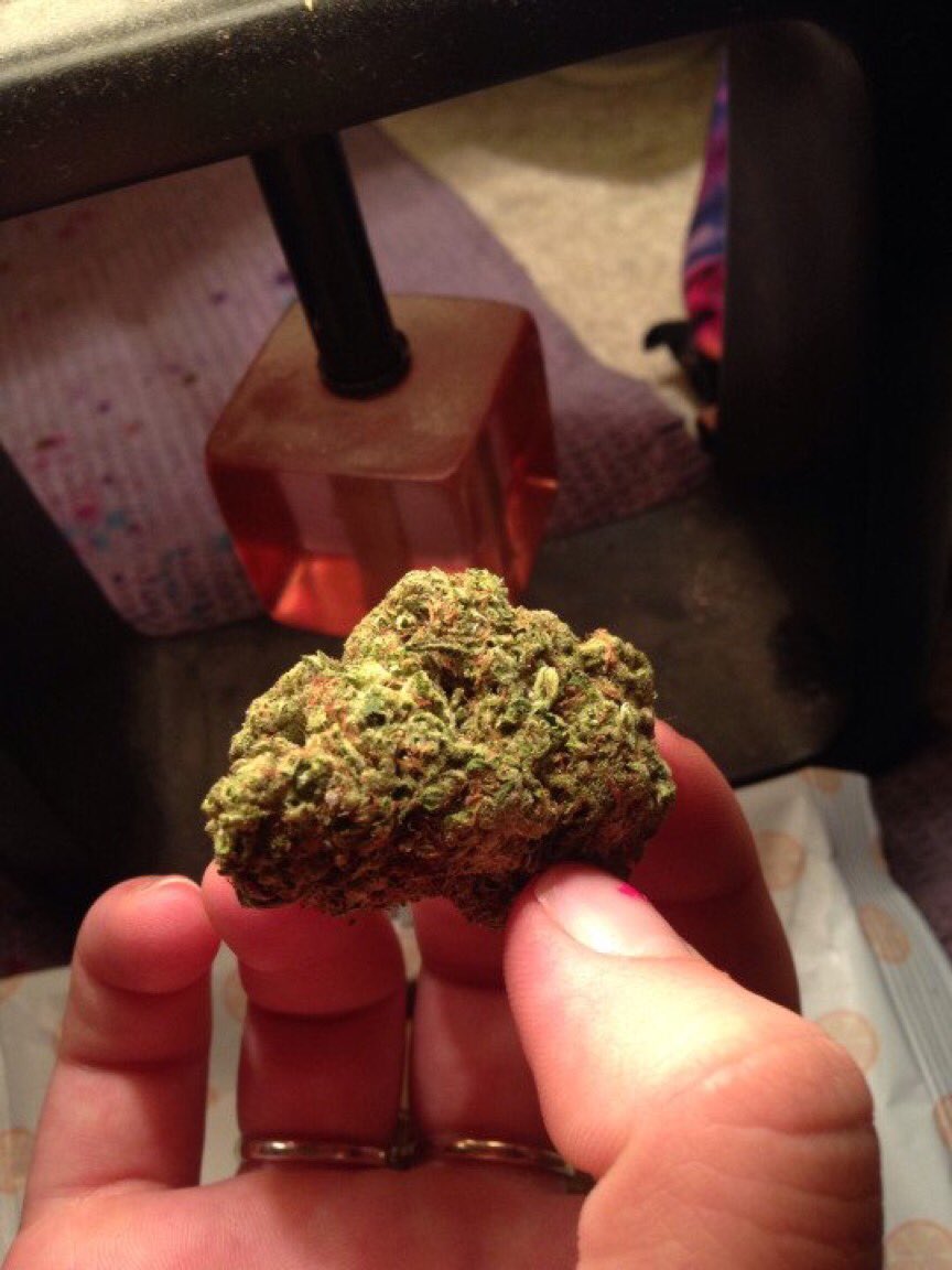 Cannaboos's tweet photo. #weedmatters#maryjane https://t.co/BxfBscwsCL