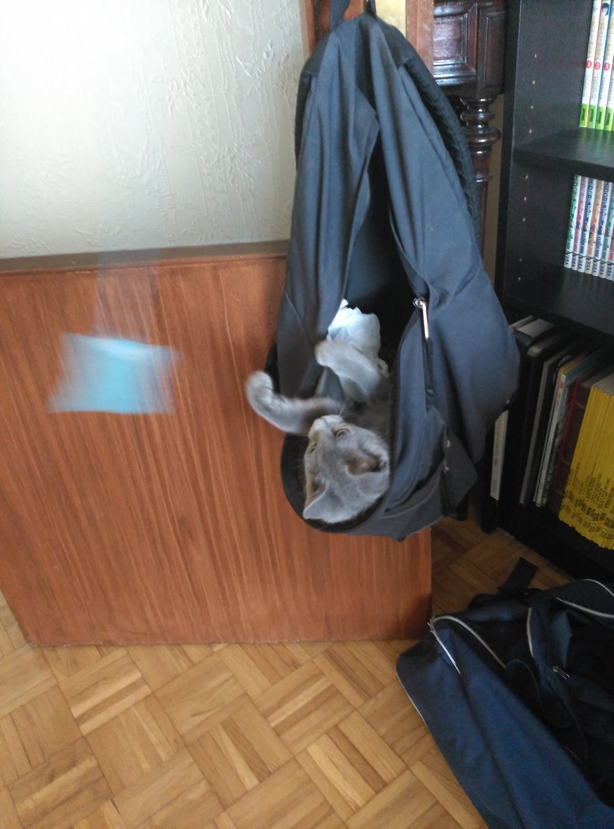 CharSinGas's tweet photo. @CharSinGas Y el servicio de habitaciones procede https://t.co/gBkRu7CHPD