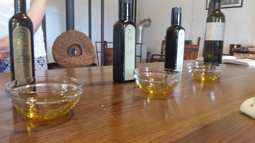 CyclingCroatia1's tweet photo. #Cycling #Istria we have tasted some of the best  istrian #oliveoil oil at #uljaraGrubic  #croatia https://t.co/cAGV327o5m