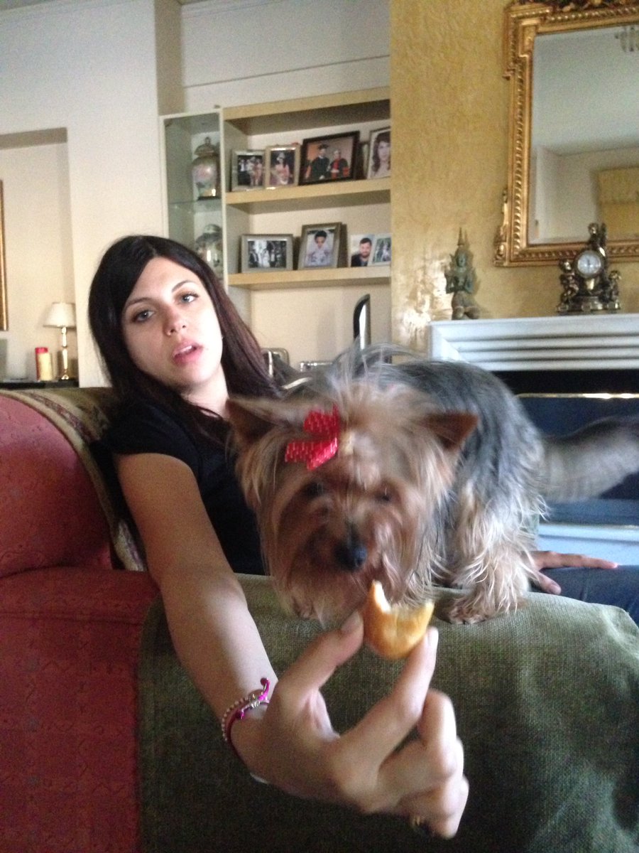 johnspiridakis tweet picture