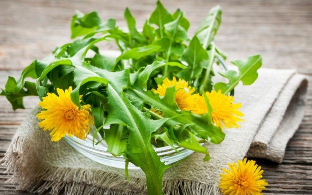 OpenWelln's tweet image. The Suprising Truth about Dandelions open2wellness.wordpress.com/2016/07/26/the…