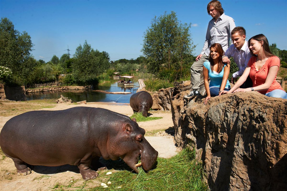 VdZ_Zoos's tweet photo. Die @ZOOM_GE Erlebniswelt in #Gelsenkirchen freut sich über den 22.222 Dauerkarten-Besitzer. #VdZ_Zoos https://t.co/lozTt44WrS
