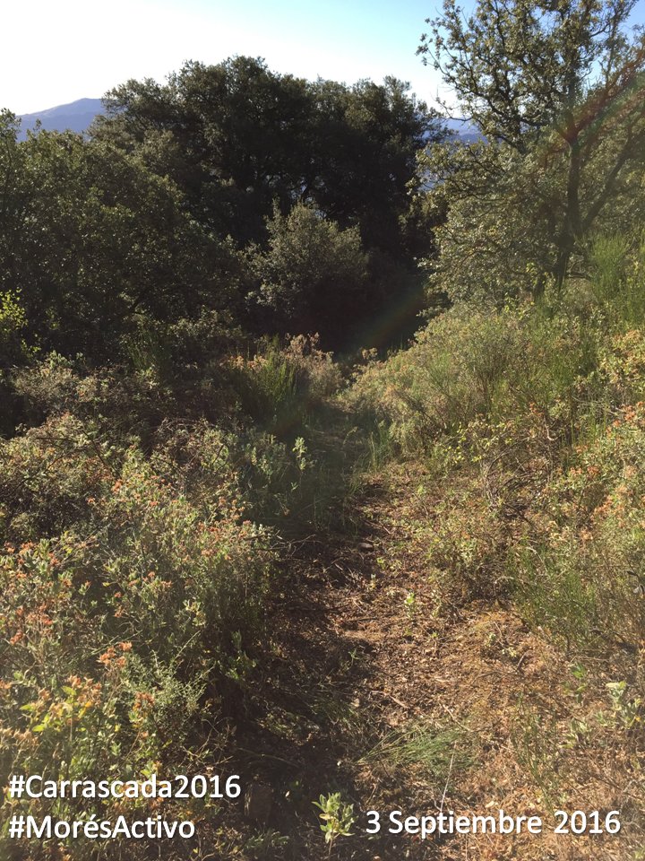 MoresActivo's tweet photo. ¡¡Atención!! 2ª Edición de la #Carrascada en Morés:
- 3 de Septiembre 2016 -
- Salida 08.00 horas -
No te la pierdas https://t.co/x0OPgxlUMC