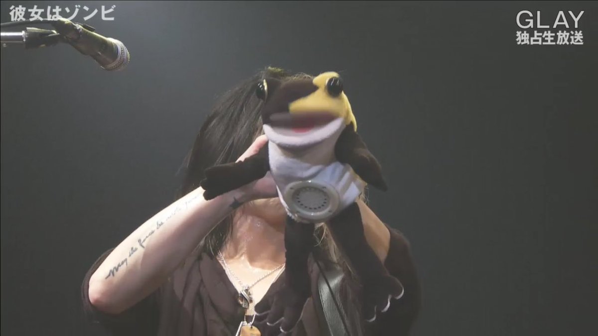 ケロヒサシ ぬいぐるみ ケロヒサシ ケロヒサシ ぬいぐるみ