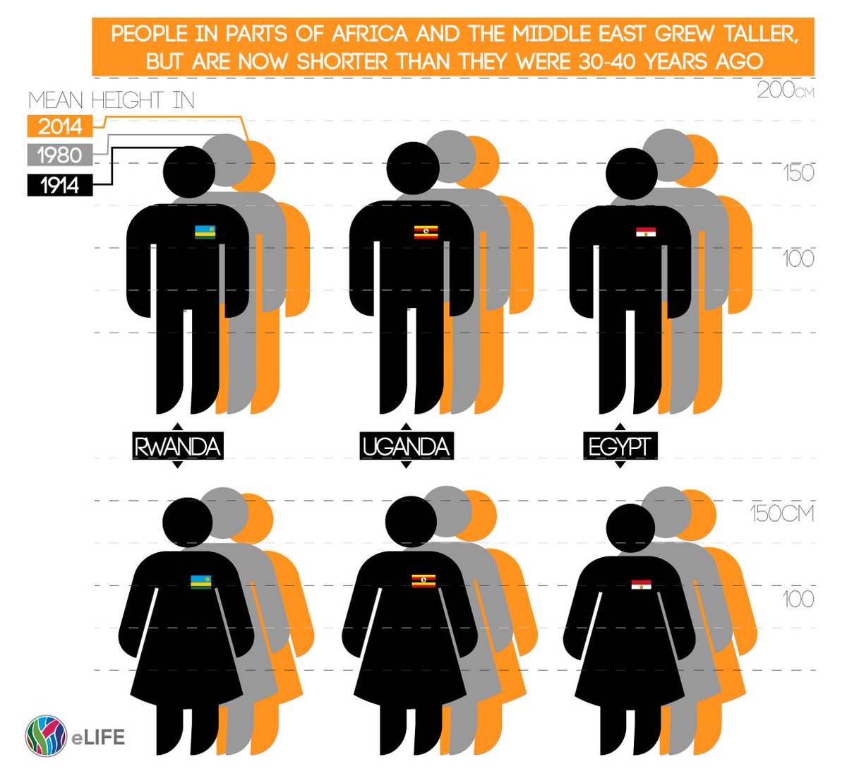 Height womens uk average Average Height