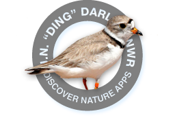 Just played DNA’s cool game at J.N. "Ding" Darling NWR. Check it out here goo.gl/2DQcC7