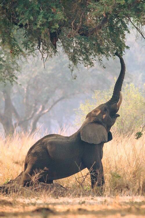 KarussaYoga's tweet photo. Estírate antes de empezar el día. Nuevo día, nuevas oportunidades. #buenosdias #compartiendoconamor https://t.co/AbRC6Tqg3O