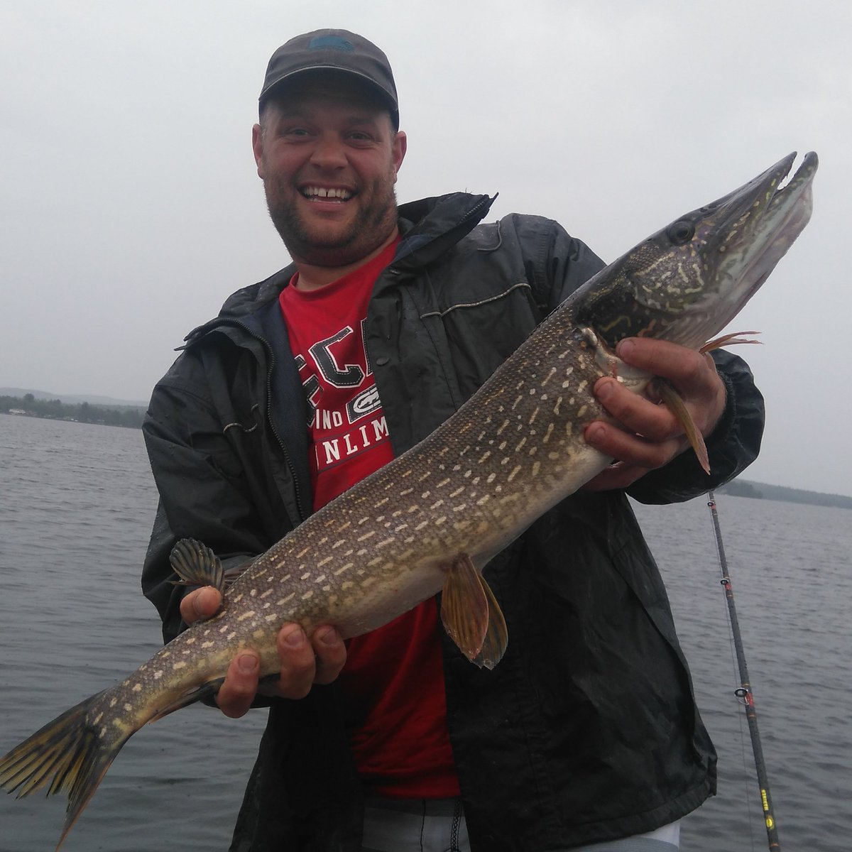 DgWildhuman's tweet photo. Great day but rainy... Result with 2 pike and 1 walleye catched in 25 feet on the Aylmer Lake last day! https://t.co/jyW275Vkpx