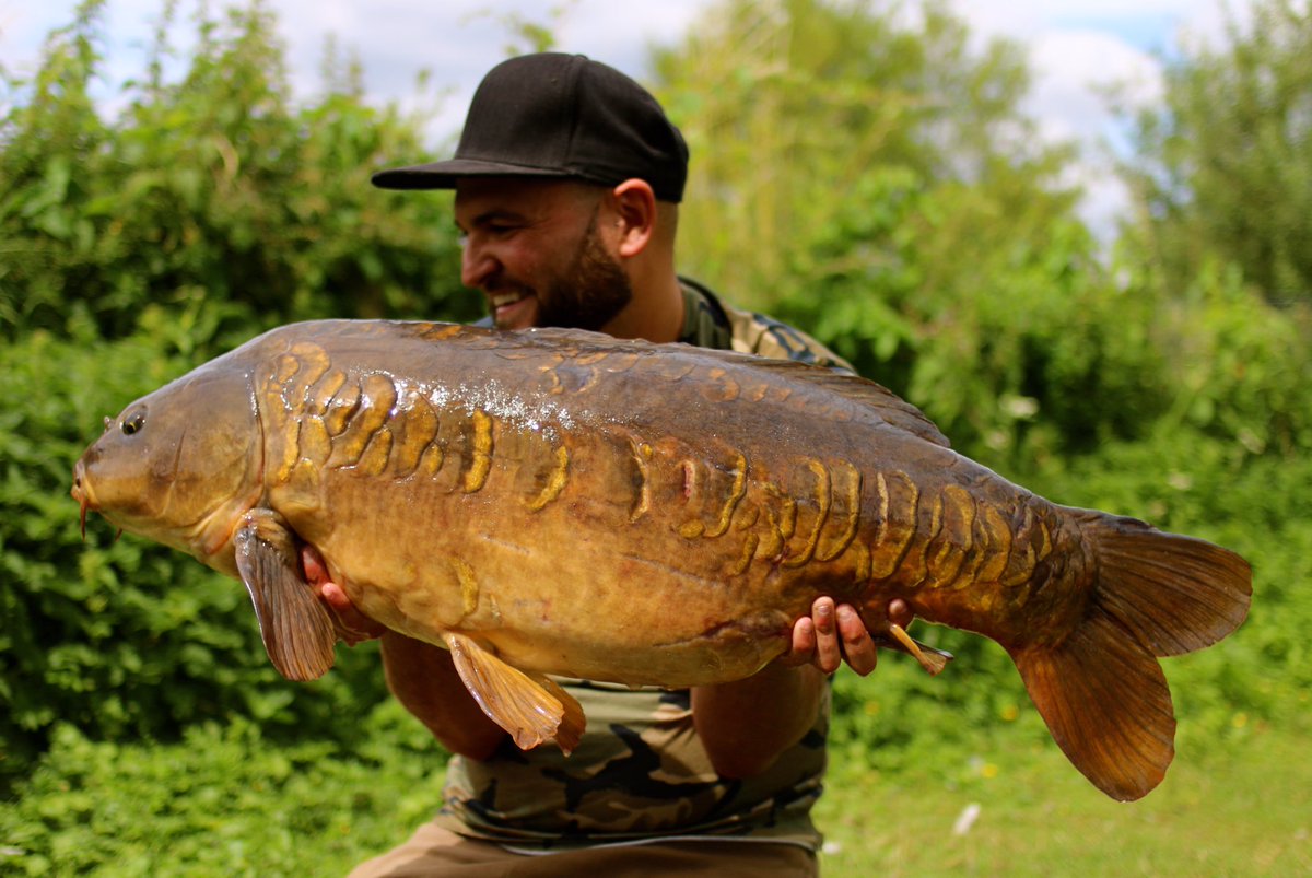 An absolute peach I caught yesterday on a zig 36lb 2 oz #stickybaits #gardnertackle #wofte