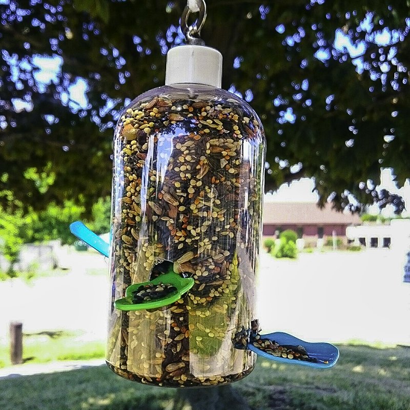 Looking for a fun #diy #project will the little ones that's fun to do and will teach them about the #nature? #family