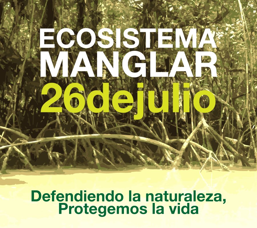 Hoy se celebra el Día Internacional para la Defensa del Ecosistema Manglar @MPPEDUCACION #ZET @SaIaTachira
