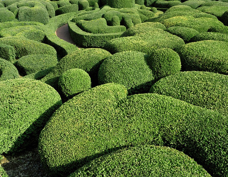 simonexpratesi's tweet photo. The surreal topiary gardens Marqueyssac https://t.co/EqZ2XjhNhW https://t.co/Yrz6QzbVG7