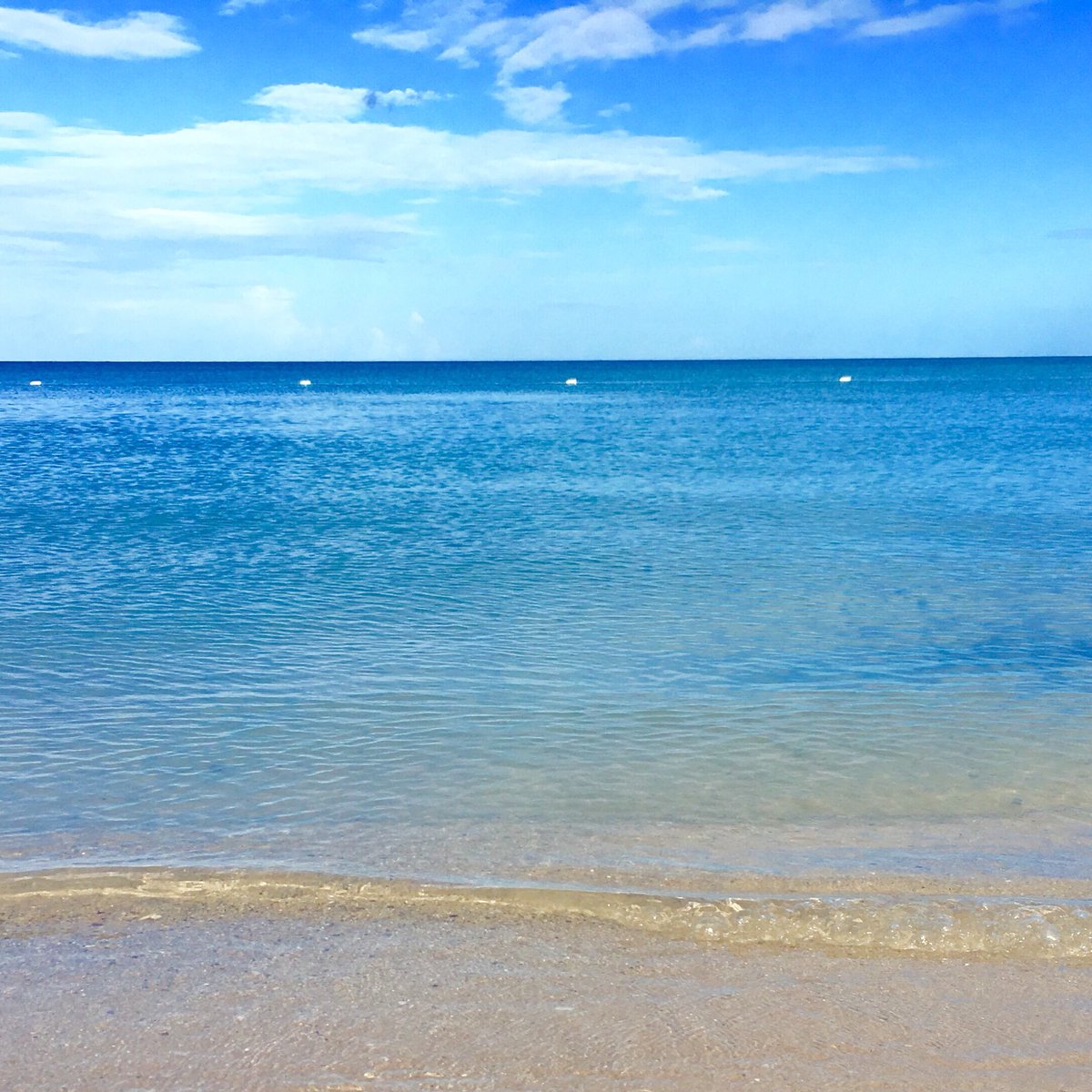 Mey_099's tweet photo. #playacombate #PuertoRico https://t.co/PLtdQOcbD7