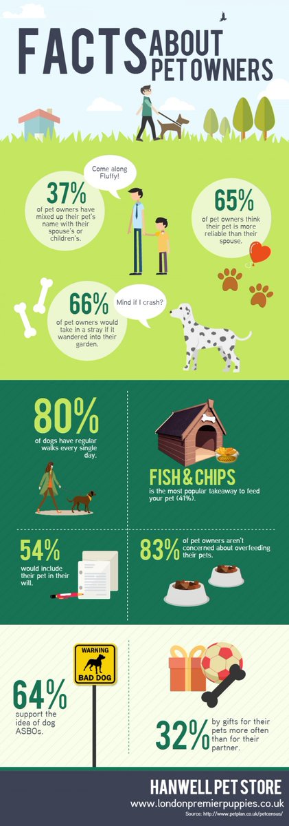 MyPetDirectory's tweet image. Some random facts about pet owners!