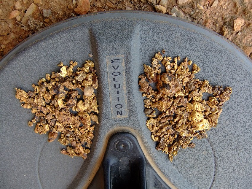 AZOutback's tweet image. Several ounces of gold nuggets recovered using the new Evolution Coils by Nugget Finder!
