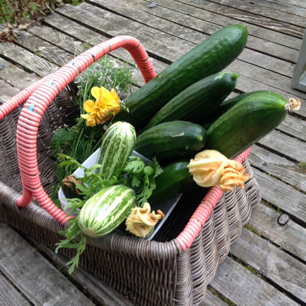 Oops #glut #afairland <a href="/grizedalearts/">Grizedale Arts</a>