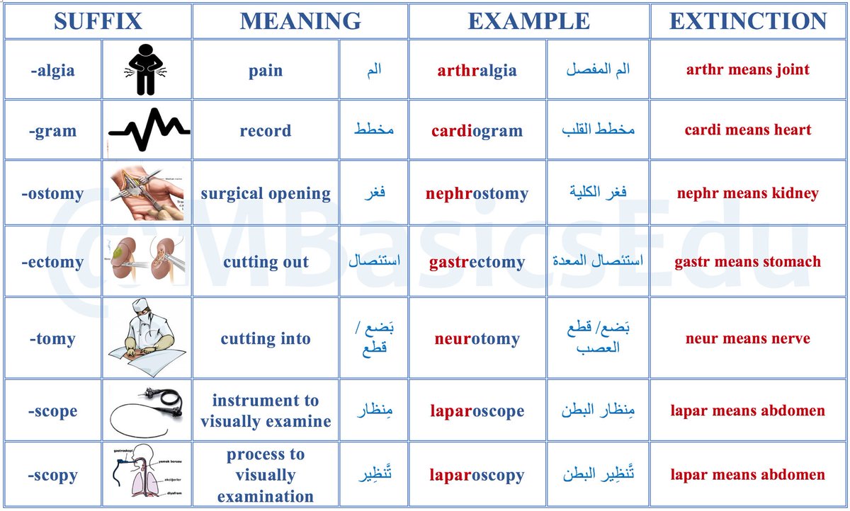 Medical Dictionary Medical Terminology Medical Definitions Medical Dictionary Medical Terminology Medical Definitions