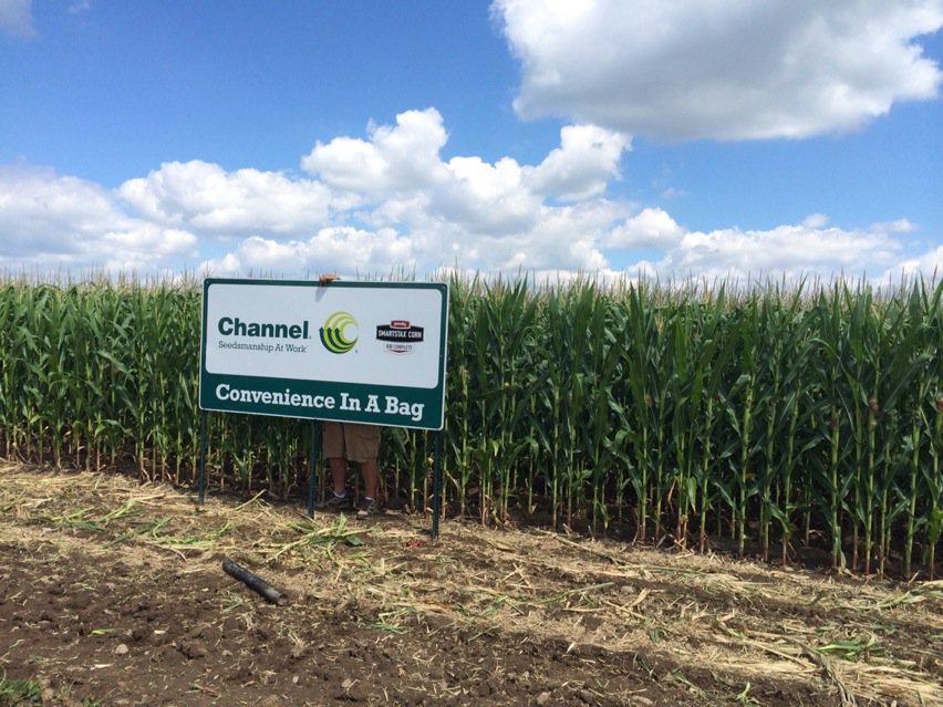 seedgreg's tweet image. Found some corn worth signage