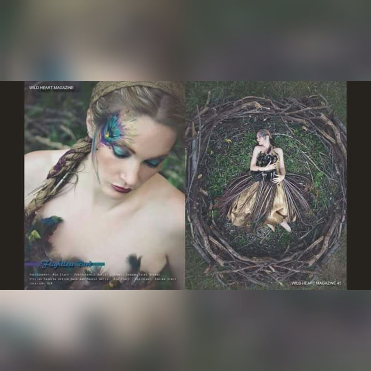TFD_model's tweet photo. Newest Publication! #nest #beautifulbird #nature #art #lovemodeling #photography #blueeyes #blondehair #modeling #💙 https://t.co/RWHzWAR1IQ