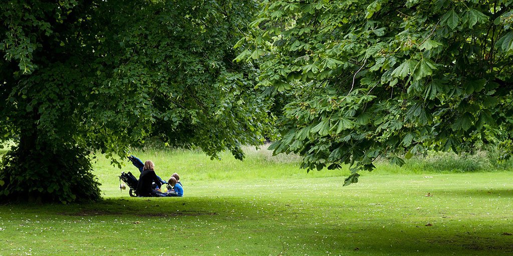 AmericanForests's tweet photo. After a walk in the park or playing in green spaces, children with ADD displayed fewer symptoms. #ForestFacts https://t.co/qyuwWsv3lz