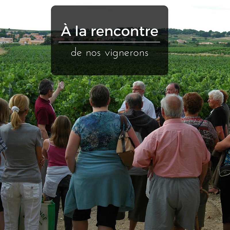 terroir66's tweet photo. Partez à la rencontre des vignerons !  Infos sur https://t.co/l97G8W5Q36 #tourismedeterroir https://t.co/YS3CdcftiJ