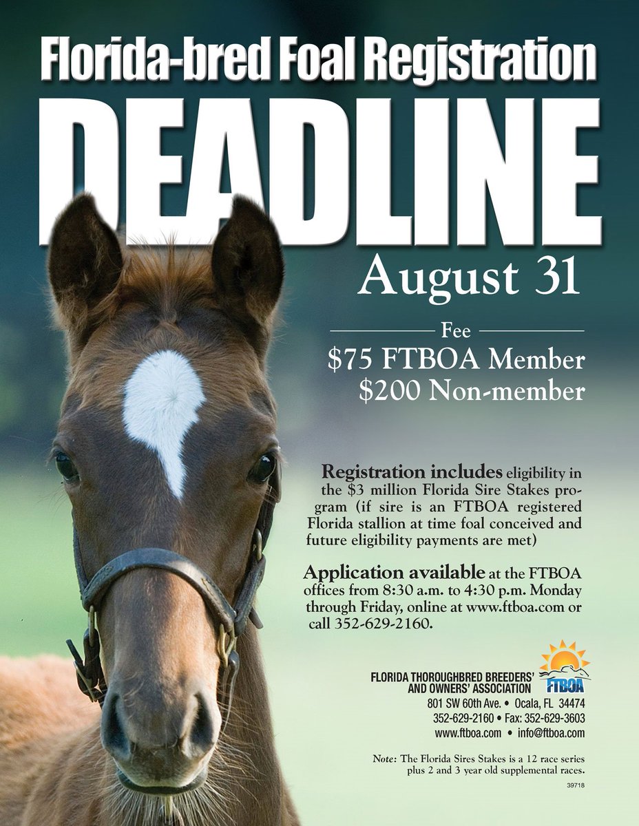 #FloridaBred Foal Registration Deadline is Aug. 31 #FTOA #HorseRacing #ThoroughbredBreeding #Ocala