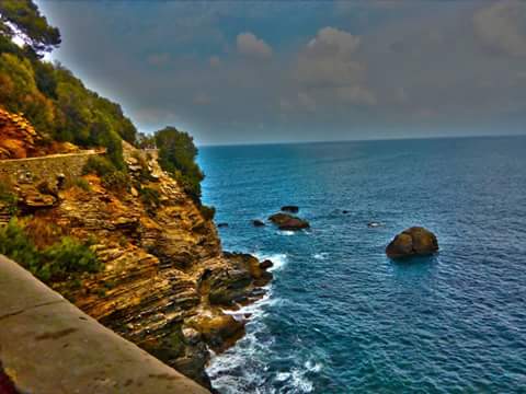 HalimChit tweet picture