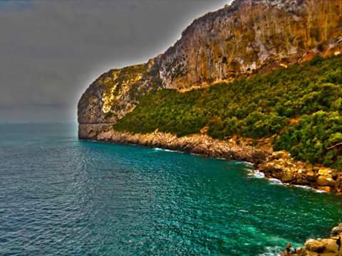 HalimChit tweet picture