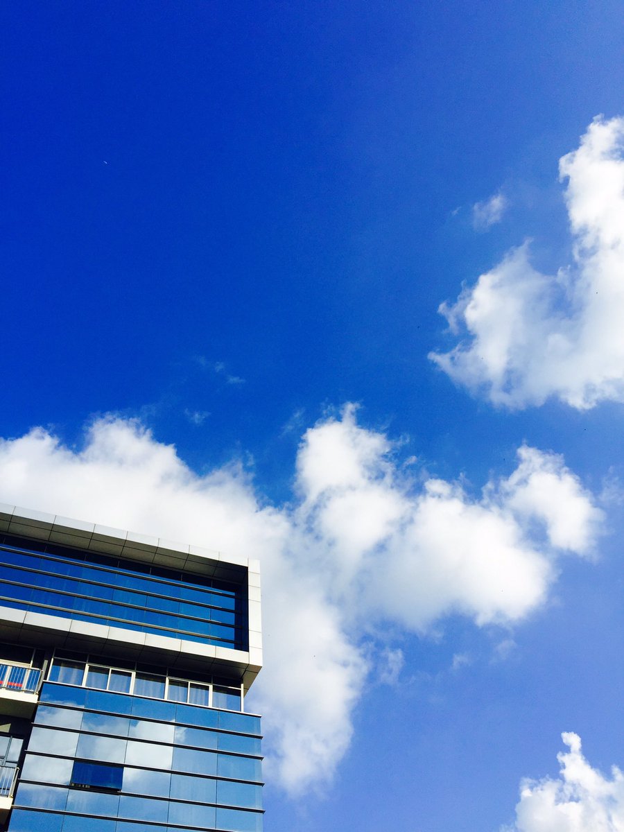 orangesgo's tweet image. Blue