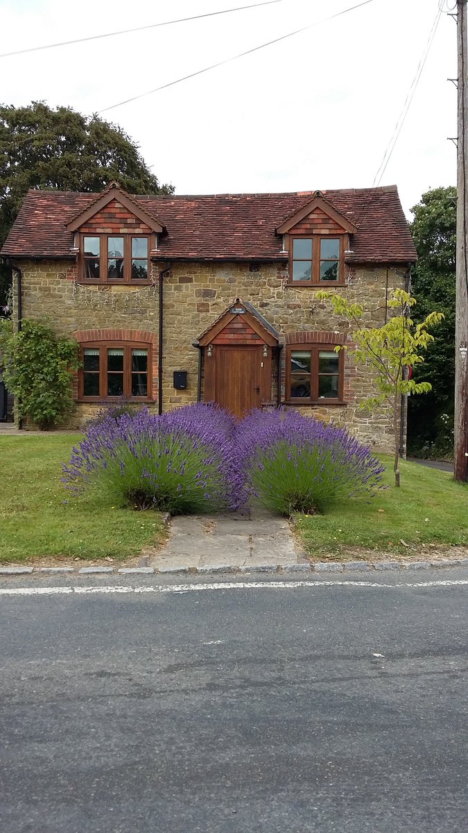 *note to self

Next time plant lavender further apart!!
