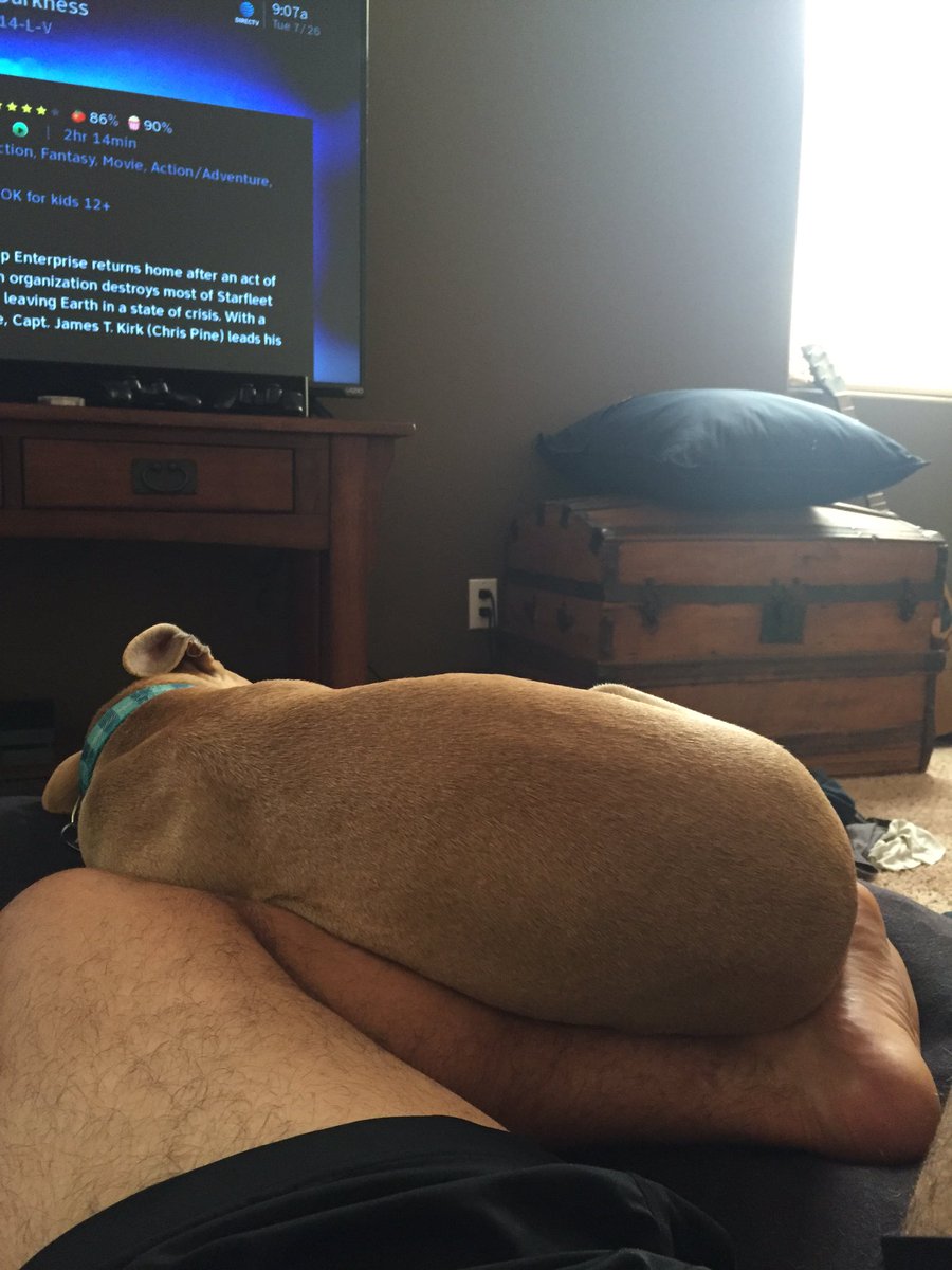 mackayzerelli's tweet photo. #forcecuddle https://t.co/xgmel0MKEU