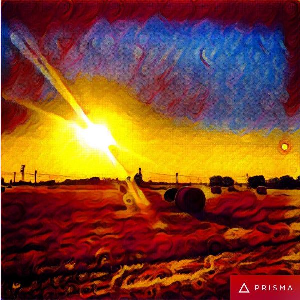 CoachLouBeaird's tweet image. Cool photo!! Cool #filter! @1TexasRob #Texas #Texans #Instagram #countryside instagram.com/?hl=en