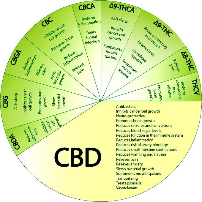 Great pie chart with Cannabinoid information. RT 
#CBD #THC #stoptheseizures #legalizemedicine #cannabiscures