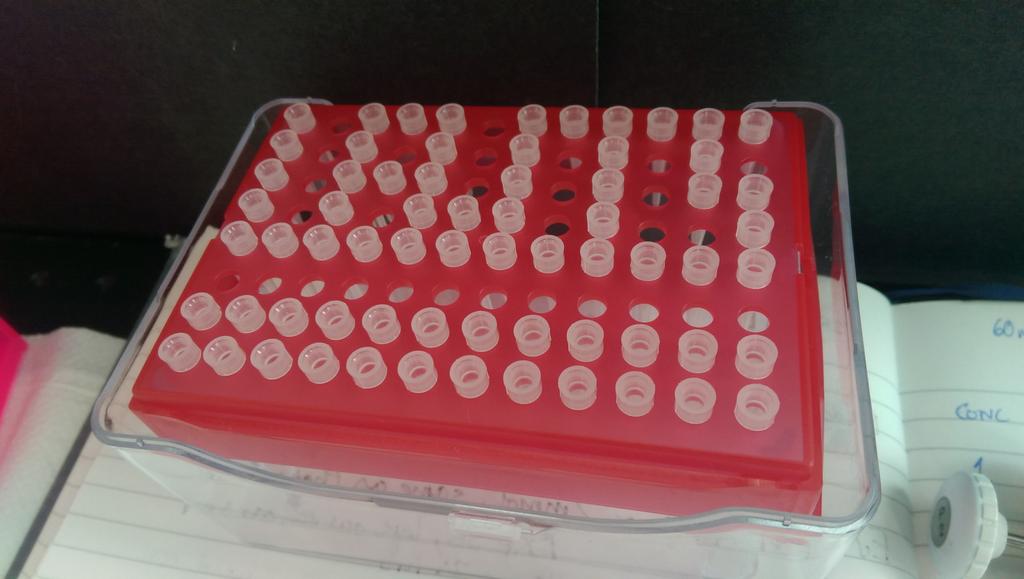 LEMacKz's tweet photo. Slow lab afternoon... wrote my name in pipette tips https://t.co/BylEukyBFh
