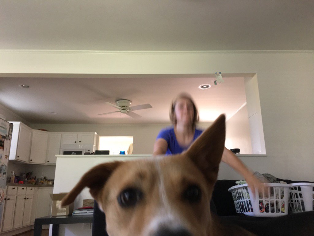 fuscia13's tweet photo. #photobomb by #mo_mo as I get through 130 squats!!! #lovesweatfitness @lovesweatandfit https://t.co/Rr2BoOa1jp