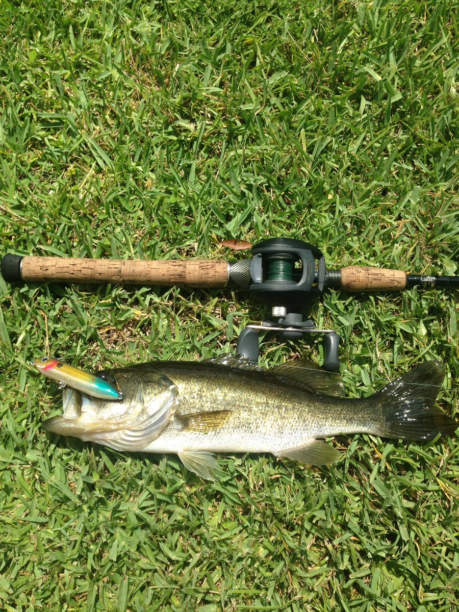 SouthernAngling's tweet image. How I managed to make this happen I have no idea. Feels good to break in a new spook.