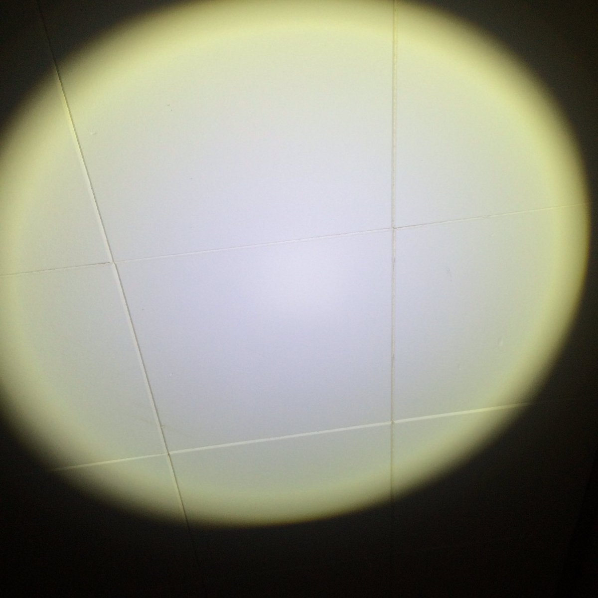 Cassiew1979's tweet image. Awsome AYL LED tactical flashlight with rechargeable 18650 battery! Love AYL #AYLFlashlight 
amazon.com/AYL-Bright-Tac…