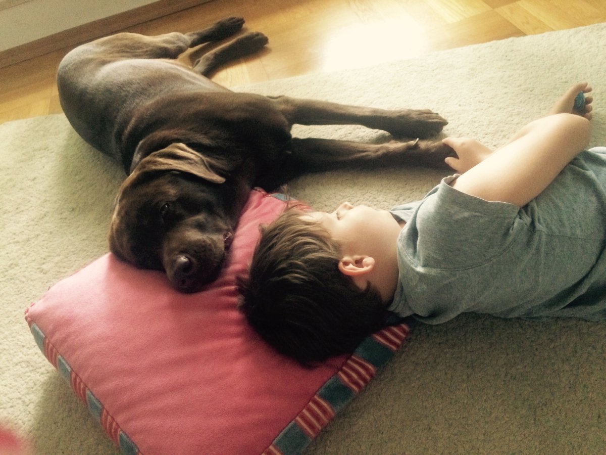 whereisarchie's tweet photo. Sleepy.... https://t.co/dWbr6U9dRp