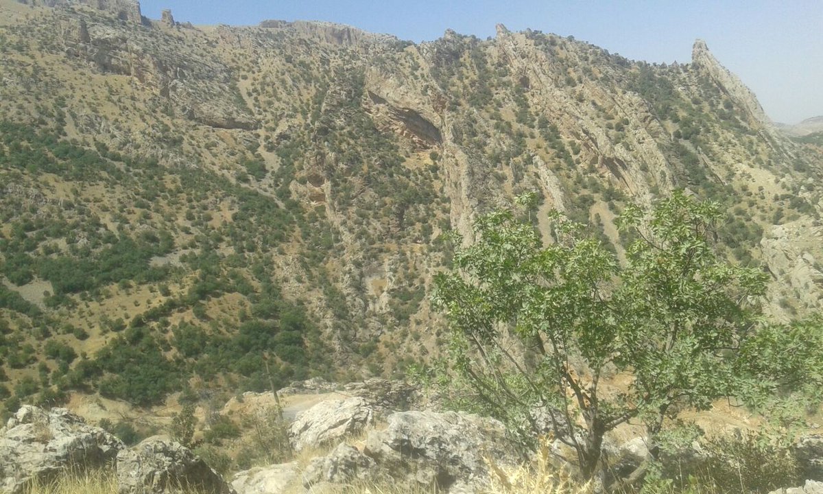 Burayi. Çok özledim