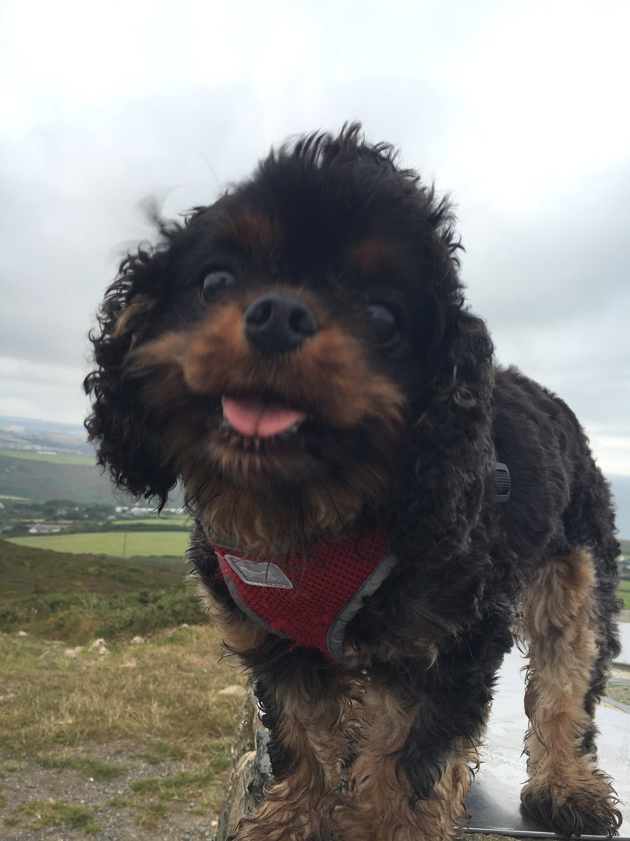 danielle adderley (@_dannie_adds) on Twitter photo 