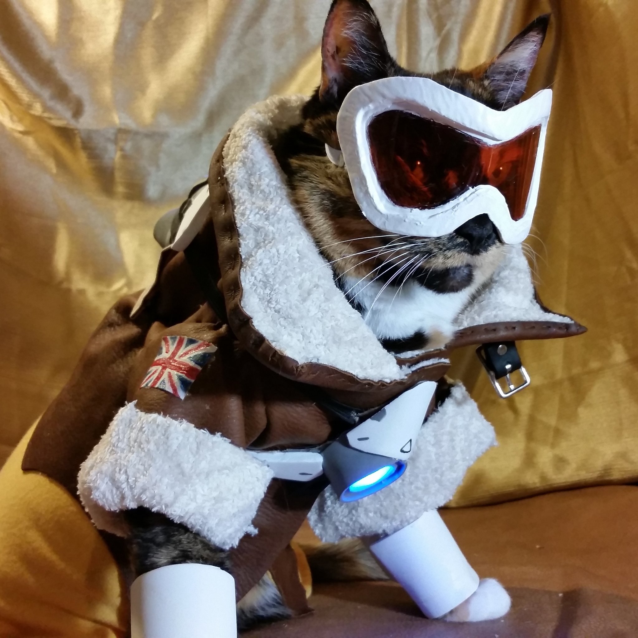 Overwatch cat best sale plush