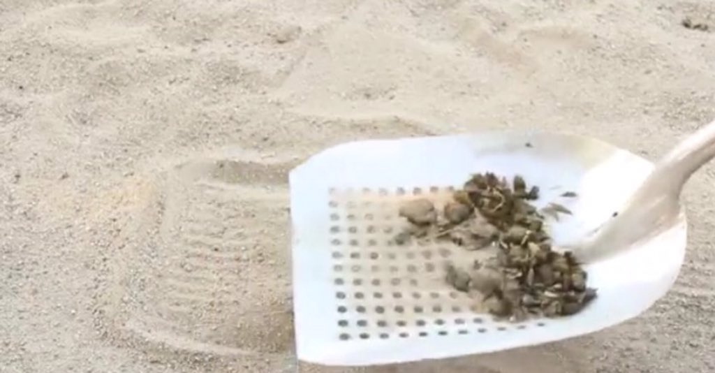 STALL SIFTER tweet media