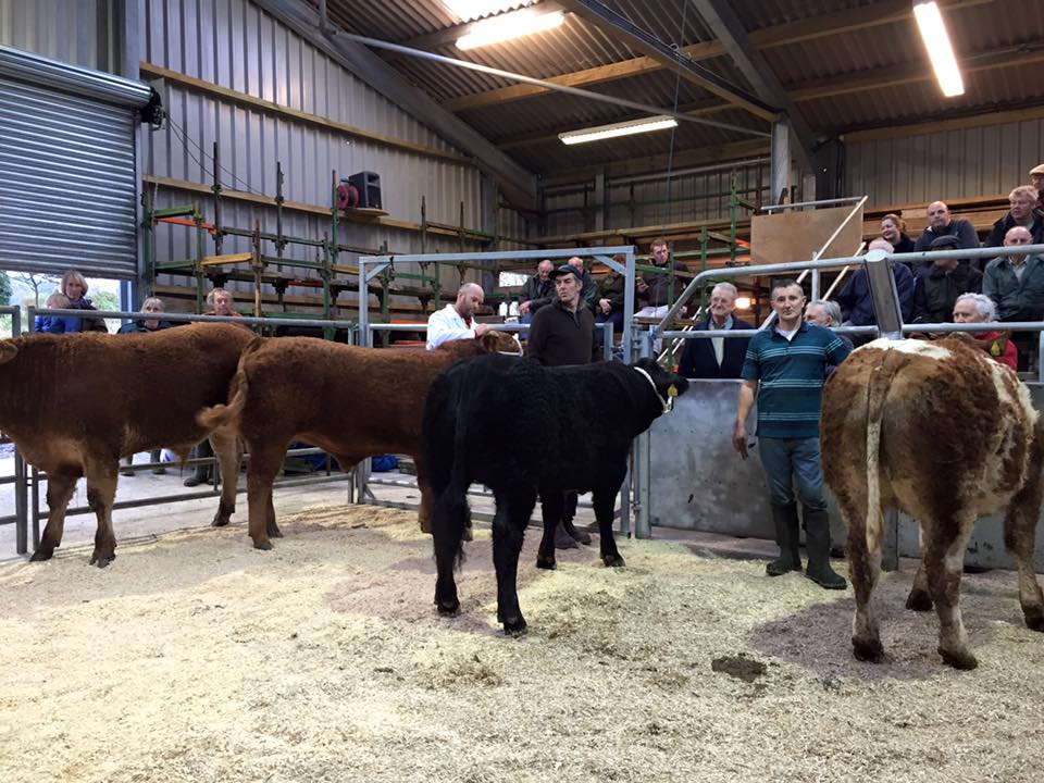 2015 Fatstock show #Manxproduce #manxmeat #farmersmatter #iommeats #manxfarming